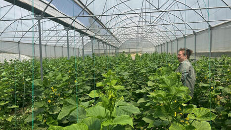 TÜRKIYE sets new record in agricultural output, enters world’s top 7 | CIHEAM Press Review | Scoop.it