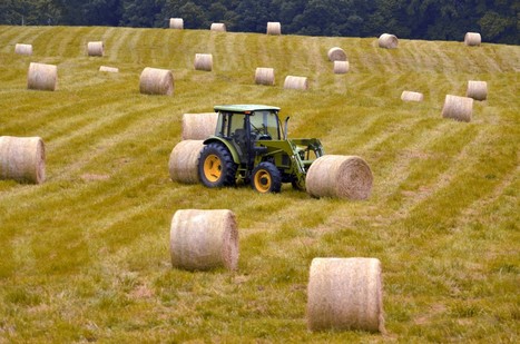 FRANCE : Agriculteurs, exploitations et territoires de la transition vers une alimentation relocalisée | CIHEAM Press Review | Scoop.it