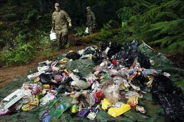 Taking back the woods from pot growers | Timberland Investment | Scoop.it