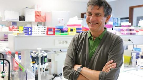 Santé. A Nantes, on élabore un vaccin contre les allergies aux acariens | Veille territoriale AURH | Scoop.it