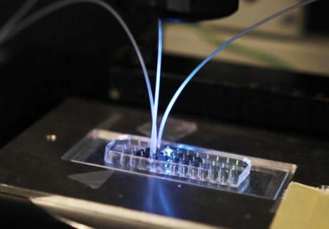 Microfluidique : Emulseo l&egrave;ve &agrave; nouveau des fonds | Start-ups | Success stories | Scoop.it