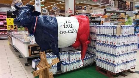 Lait équitable : « Faire France a éveillé les consciences sur la valeur du lait » | Lait de Normandie... et d'ailleurs | Scoop.it