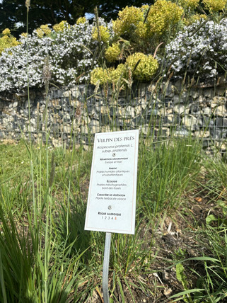 Le saviez-vous ? Aux Jardins Suspendus du Havre, on surveille le pollen pour les allergiques | Veille territoriale AURH | Scoop.it