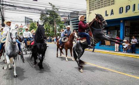 Desfile de caballos purasangres engalana la Feria - La Prensa de Honduras | Caballo, Caballos | Scoop.it