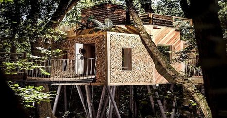 [inspiration] Une cabane dans les arbres au confort d'une maison | Build Green, pour un habitat écologique | Scoop.it