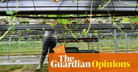 Stop abuse of migrant workers before Britain becomes the next Dubai | Pete Pattisson | The Guardian | Microeconomics: IB Economics | Scoop.it