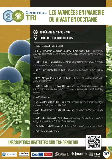 Les avanc&eacute;es en imagerie du vivant en Occitanie 2nd Edition !TRI-Genotoul | Biodiversit&eacute; | Scoop.it