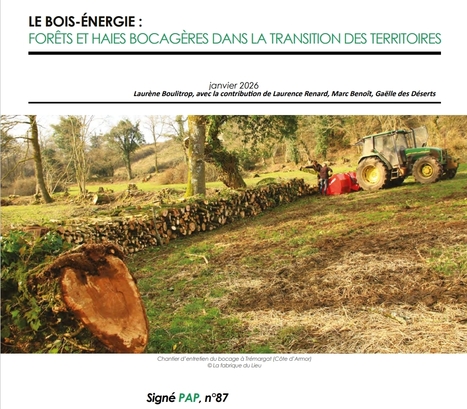 Le bois-&eacute;nergie : For&ecirc;ts et haies bocag&egrave;res dans la transition des territoires | Paysages de l'apr&egrave;s p&eacute;trole collectif | La SELECTION du Web | CAUE des Vosges - www.caue88.com | Scoop.it