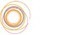 Installer le plug-in Zotero pour Word 365 | Zotero | Scoop.it