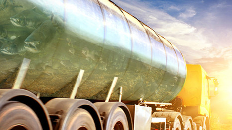 California Salmon Will Get a Free Ride to the Ocean&mdash;In Tanker Trucks | Coastal Restoration | Scoop.it