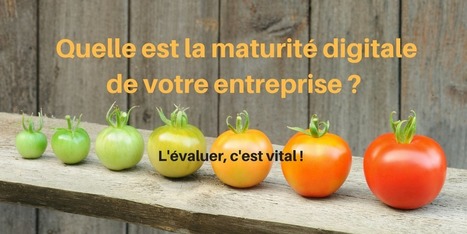 Evaluer la maturité digitale de votre entreprise, c'est vital | MBA MCI | Scoop.it