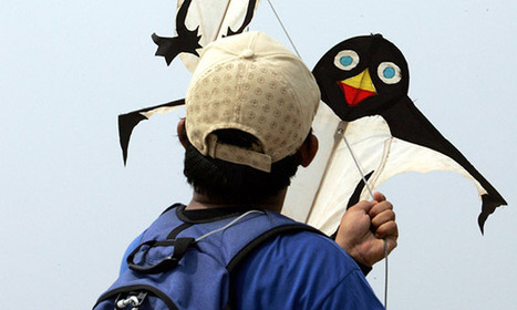 Poem of the week: Kite-Flyers of Cengkareng by Iain Bamforth - The Guardian | Riddle Brook Publishing | Scoop.it