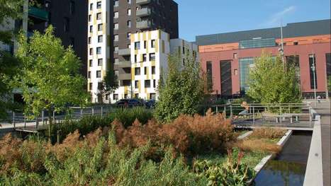 Nature en Ville : d&eacute;velopper la biodiversit&eacute; dans le milieu urbain | Nature en ville | Scoop.it