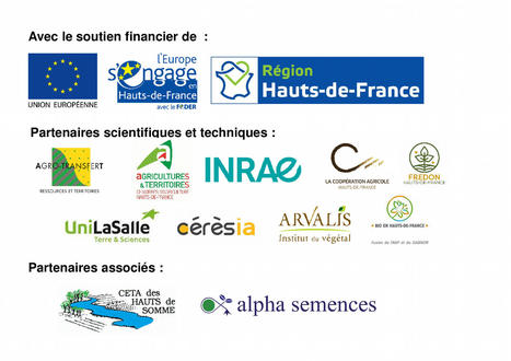 Multifonctionnalité des couverts d'interculture - Blog interculture | Pour innover en agriculture | Scoop.it