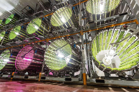 Agriculture du futur : et si une nouvelle façon de produire était possible ? | Attitude BIO | Scoop.it