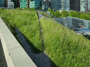 Un guide pour intégrer la végétalisation du bâti dans les plans d'urbanisme | Une semaine d'actu - Newsletter de veille de l'AURH | Scoop.it