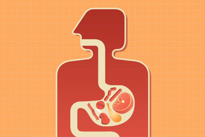 Cutting This One Food Could Drastically Reduce Your Cancer Risk, Mainly in the Colon | The Health Report | Scoop.it