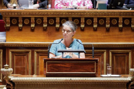 Agences : "On a cr&eacute;&eacute; des sous-minist&egrave;res quasi autonomes en oubliant qu&rsquo;il y a l&rsquo;&Eacute;tat derri&egrave;re" | &Eacute;tat et collectivit&eacute;s | Scoop.it