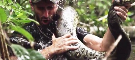 Se faire manger vivant par un Anaconda pour un documentaire | ACTUALIT&Eacute; | Scoop.it
