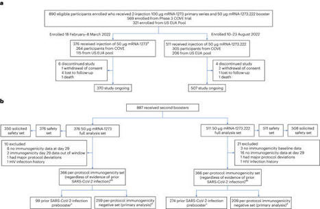 Original SARS-CoV-2 monovalent and Omicron BA.4/BA.5 bivalent COVID-19 mRNA vaccines: phase 2/3 trial interim results | Nature Medicine | veille vaccination | Scoop.it