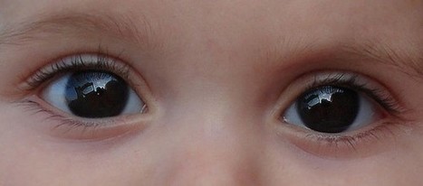 La tecnolog&iacute;a se hace m&aacute;s inclusiva en el D&iacute;a Mundial del Autismo | Las TIC y la Educaci&oacute;n | Scoop.it