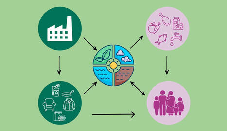 Polluants éternels – C’est quoi les PFAS ? · Inserm, La science pour la santé | News from the world - nouvelles du monde | Scoop.it