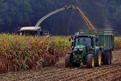 EU: Coldiretti-Eurispes: the agromafia business rises to 25,2 billion | EUROPES | Scoop.it