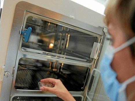 Transfert d&rsquo;embryon post-mortem refus&eacute; &agrave; Brest&nbsp;: devant le conseil d&rsquo;&Eacute;tat le 16&nbsp;janvier&nbsp; | Bio&eacute;thique & Procr&eacute;ation | Scoop.it