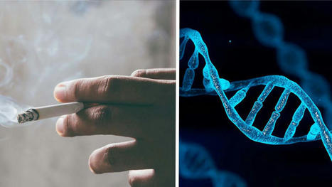 A breakthrough in DNA sequencing hints at why most smokers don't get lung cancer | The future of e-cigarette | Scoop.it