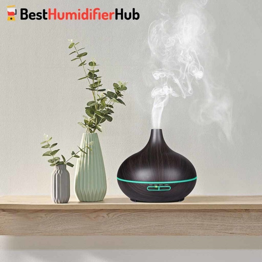 How Humidifiers Work Humidifier FAQ Best Hu...