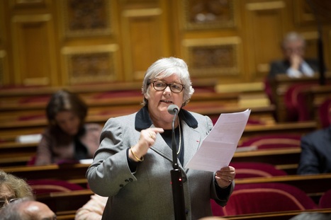 Jacqueline Gourault, nouvelle ministre des collectivités | architecture, urbanisme, environnement, paysage, énergie, territoires... : le fil d'actu de la FNCAUE | Scoop.it