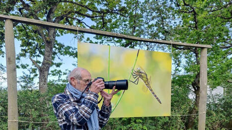 Sa sp&eacute;cialit&eacute;, la photographie d&rsquo;insectes&nbsp;: Andr&eacute; Bl&eacute;as, &agrave; l&rsquo;aff&ucirc;t de l&rsquo;invisible | Vari&eacute;t&eacute;s entomologiques | Scoop.it