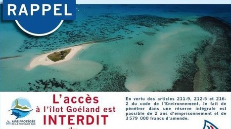 L’îlot Goéland interdit jusqu’à fin mars   | Les oiseaux au gré du vent | Scoop.it