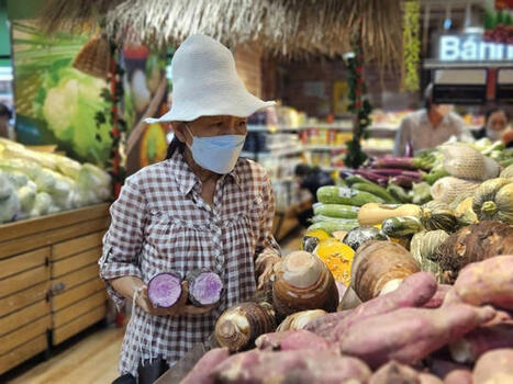 Survey reveals shifts in Vietnamese shopper habits | South Korean & VietnameseTravellers | Scoop.it