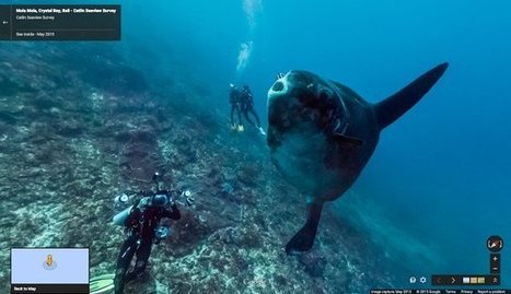 Google Street View invite à l'exploration sous-marine | Tout le web | Scoop.it