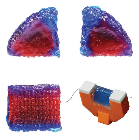 AM Vocal Cord Research Leads to Development of Novel Functional Silicone | 3DM-Shop news | Scoop.it