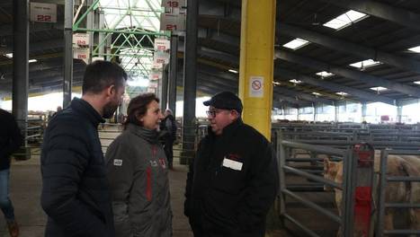 Cholet: la région au chevet des éleveurs au Foiral | Actualité Bétail | Scoop.it