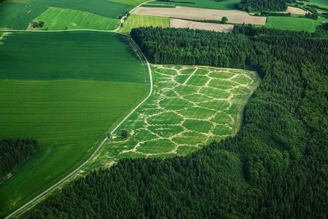 7 agricultural innovations that could save the world | INNOVATIONS | Scoop.it