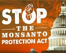 Tell Congress to Stop the Monsanto Protection Act! | Coffee Party Science | Scoop.it