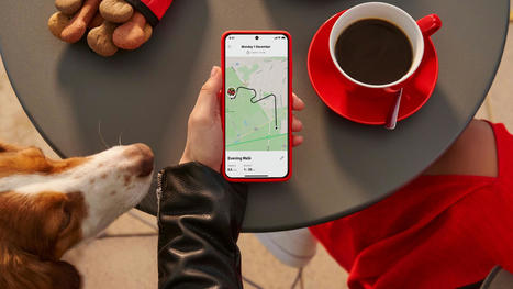 Vodafone helps pet owners with new Curve pet tracker | Quantified Pet | Scoop.it