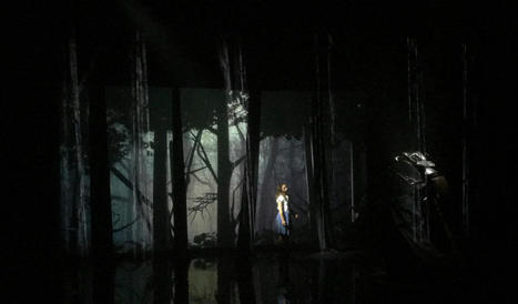 Pangolarium de Nicolas Liautard & Magalie Nadaud | Revue de presse théâtre | Scoop.it