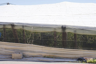 Agriculture et urbanisme : une responsabilit&eacute; collective pour l&rsquo;avenir de nos territoires | Veille territoriale AURH | Scoop.it