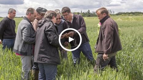 « Le collaboratif, une révolution pour l’avenir de l’agriculture» | Lait de Normandie... et d'ailleurs | Scoop.it