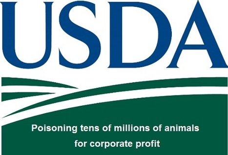 Mystery Bye Bye Blackbird, Solved… USDA Has Admitted To Poisoning Millions Of Animals | CORPORATE SOCIAL RESPONSIBILITY – | Scoop.it