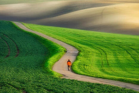 CLIMATE: Exposure to pollution linked to depression, anxiety and other mental health issues&nbsp; | DURABILITES | Scoop.it