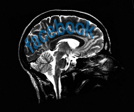 Brain Volume Linked to Social Networking | Wired Science | Wired.com | Toulouse networks | Scoop.it