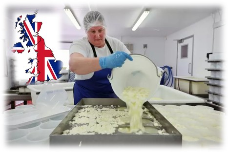 Bleu, brie, ou camembert : quand le Royaume-Uni s'éveille à la production de fromage | Lait de Normandie... et d'ailleurs | Scoop.it