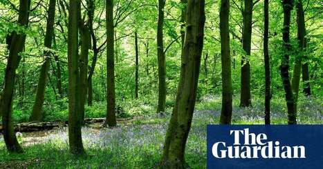 Two-hour ‘dose’ of nature significantly boosts health – study | Physical and Mental Health - Exercise, Fitness and Activity | Scoop.it