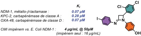 Antibiorésistance : Une nouvelle famille de molécules permettant d’inhiber toutes les classes de β-lactamases y compris les carbapénémases NDM-1, OXA-48 et KPC-2 | Life Sciences Université Paris-Saclay | Scoop.it