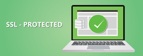 How to Get a Free SSL Certificate (and Why Google is Forcing You To) | ED 262 Research, Reference & Resource Skills | Scoop.it